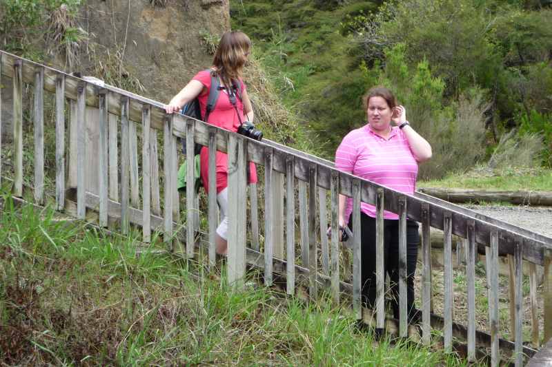 Nieuw-Zeeland 2011 - 0717